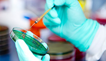 Care Centers, Lab Services | Cedar Rapids, IA | Weland Clinical Labs